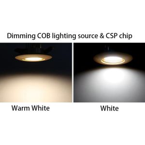 Dimming Tunable CXB1304 Size 6w LED COB Chip