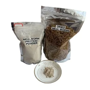 Quality Tasty Dried Mealworms from - Made with Premium Ingredients for sale