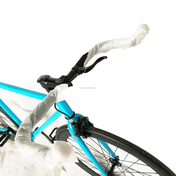 CE Certified Hi-Ten Steel Frame Single Speed Fixed Gear Bicycle for American Market