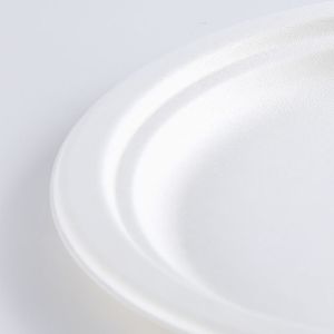 Biodegradable Food Container Bagasse Round Plates