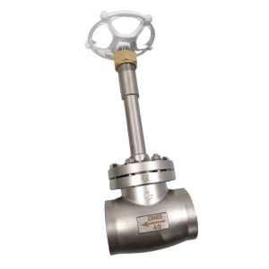 Stainless Steel 304 CF8 DN65 Cryogenic Globe Valve