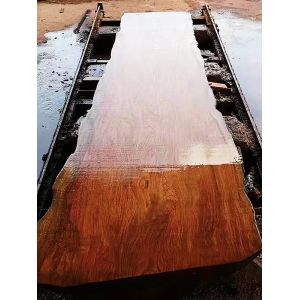 Shandong Horizontal Wood Portable Band Saw Sawmill Log Sawing Machine,portable