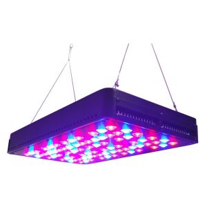 Quality 5w chip led grow light switchable,200w for sale