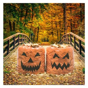 Halloween Decorations Pumpkin Trick Or Treating Lawn Bags For Festive Leaf