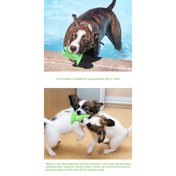 Dog Toothbrush Silicone TPR Cactus Dog Chew Toys For Teeth