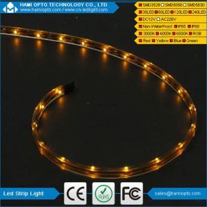 led strip light 3528 SMD 5M warm white waterproof flexible 60led/M With