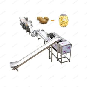 China Manufacturer Cassava Paddle Washing Machine in Starch Processing Line