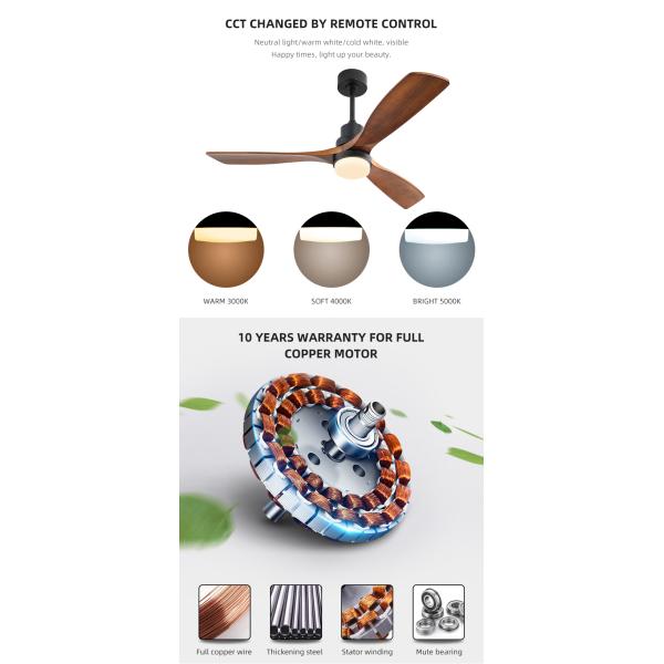 Dimmable AC/DC120V 65W Smart Ceiling Fan With Light And Remote 3 Speed