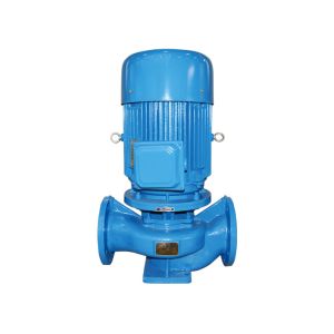 Single Phase Pipeline Water Pump Horizontal Vertical Centrifugal Booster Pump