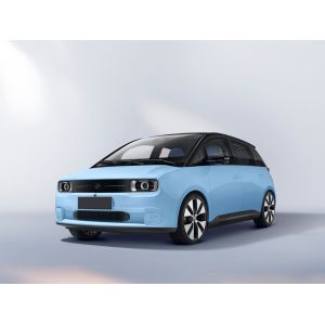 400km Per Charge Small Electric Utility Vehicles Of Bright Colors Available