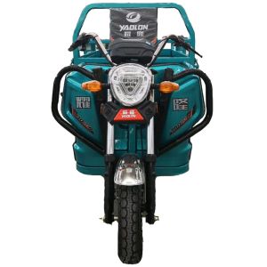 China Elder Pedal Assisted 3.1m*1m Electric Cargo Tricycle on sale