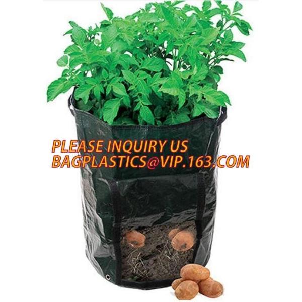 Buy Garden grow bag potato grow bag murphy bag PE fabric,40 / 50 / 100 / 200/300gallon durable heavy duty potato grow bag at wholesale prices