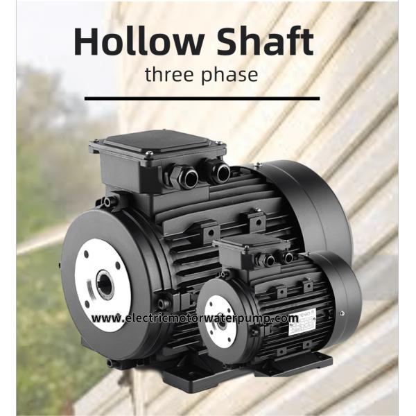 hollow shaft electric motor