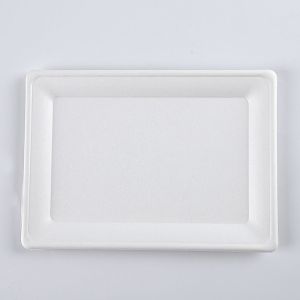Biodegradable Food Container Rectangular Bagasse Plates