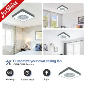 ABS Clear Plastic Blades 2- Square Ceiling Fan with Remote Control and Hidden