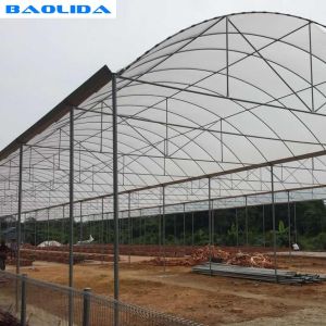 Steel Structure Polythene Tunnel 4 Mil Plastic Sheeting Greenhouse
