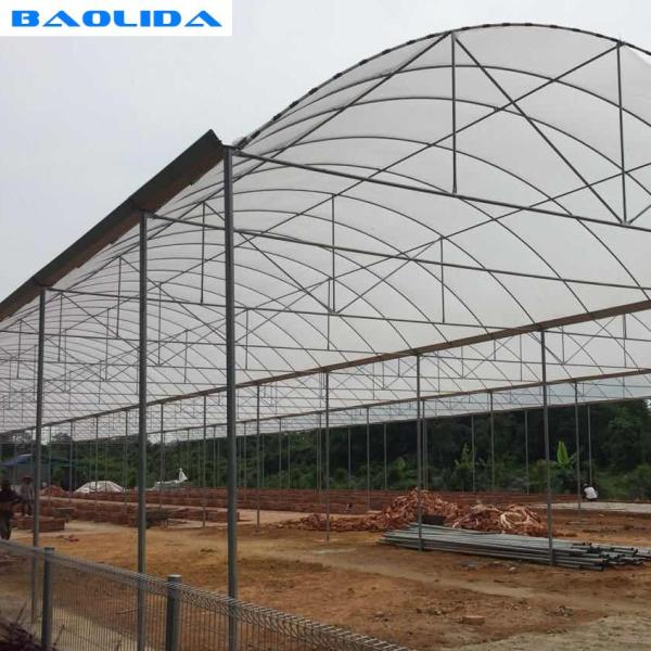 Buy Steel Structure Polythene Tunnel 4 Mil Plastic Sheeting Greenhouse at wholesale prices