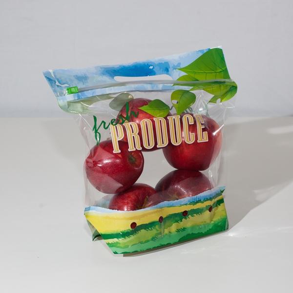 Custom Design Plastic Fruit Fresh Bags With Handle Venting Hole Gravure Printing