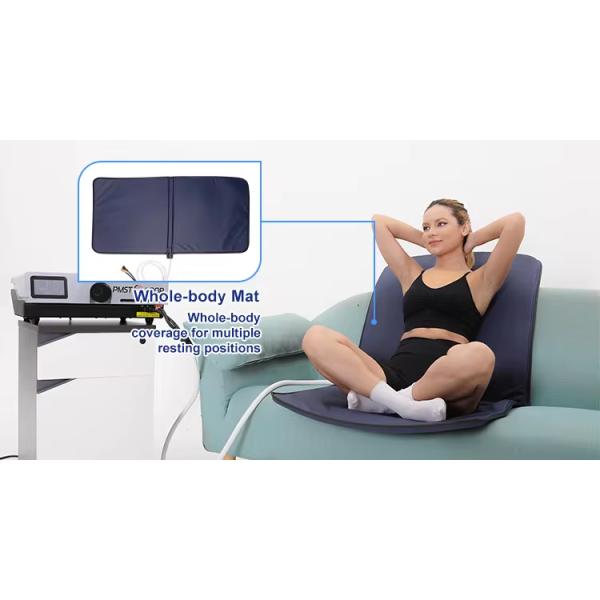 2024 Pmst Double Loop Mat Physical Therapy Physio Portable PEMF Magnetic Therapy Device