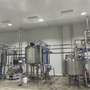 5mm 30L 50L Horizontal Bead Mill SS304 SS316 For Coffee Chocolate Peanut Paste