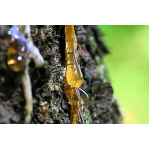 Add Your Own Beeswax to All Natural Pine Rosin Tree Resin for Baseball Grip Tack
