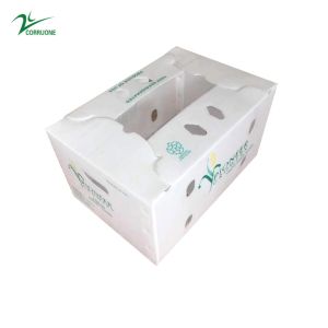 China Vegetable Corrugated Boxes for High-Performance Storage Optimal for Transportation on sale