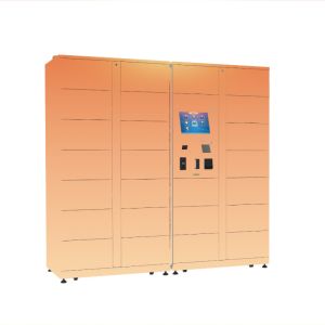 Winnsen Flowers Goods Refrigerated Locker Eggs Remote Control