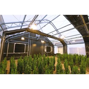 Agricultural Tunnel Fully Automated Light Deprivation Greenhouse Single span