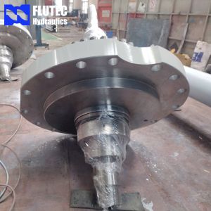 Custom Special Designed Piston Hydraulic Cylinder Self Designed Particular
