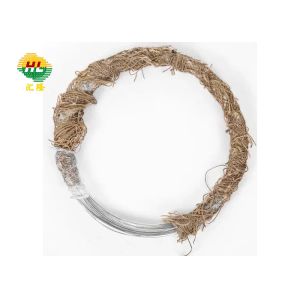 Bwg18 20 21 Bright Soft Iron Binding Wire Electro Galvanized