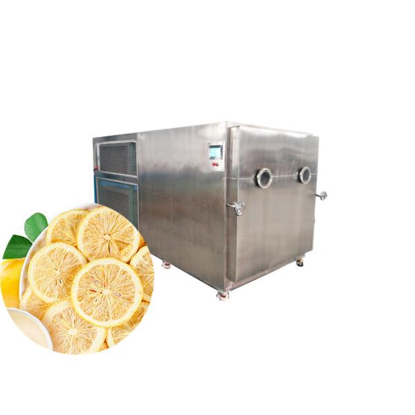 Buy Dried Fruit Industrial Freeze Dryer Machine 200kg/batch at wholesale prices