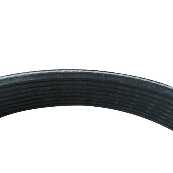 OEM 3015259 Multi Wedge Belt For MITSUBISHI 8PK1645