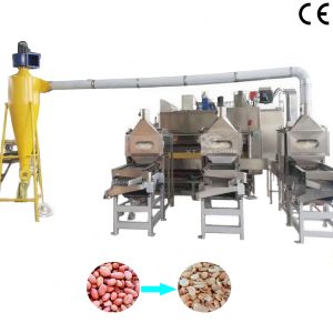 Quality Stainless Steel Fully Auto Split Peanut Blancher Machine SUS304 for Blanching &amp; Splitting Peanuts for sale