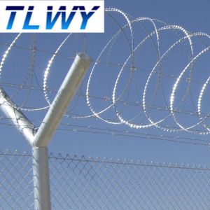 1.5mmx1.5mm Diamond Welded Razor Wire Mesh Electro Galvanized