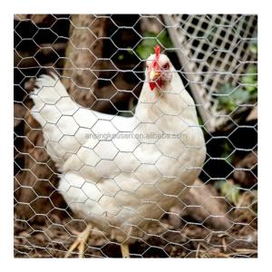 Quality Height 0.8-2.4m Hexagonal Mesh Wire Netting for Chicken Coop and Farm Animal Fence for sale