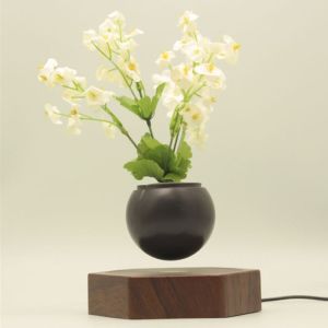 wooden base creative magnetic levitation floating air bonsai plant tree