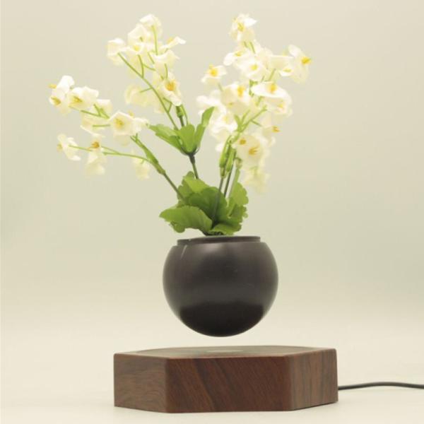 wooden base creative magnetic levitation floating air bonsai plant tree