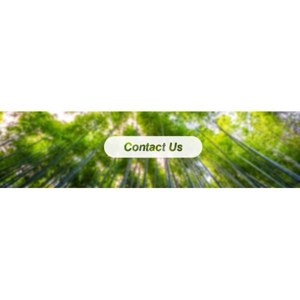 Eco Friendly Food Biodegradable Bagasse Tableware Sugarcane Containers For Camping