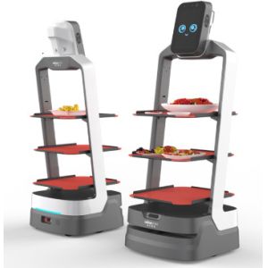 Service Robotics that voice interaction and autonomous walking and accurate