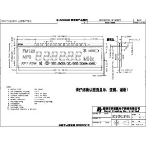 RYD2061BV01 Custom Lcd Panel Transmissive / Transflective / Reflective Mode