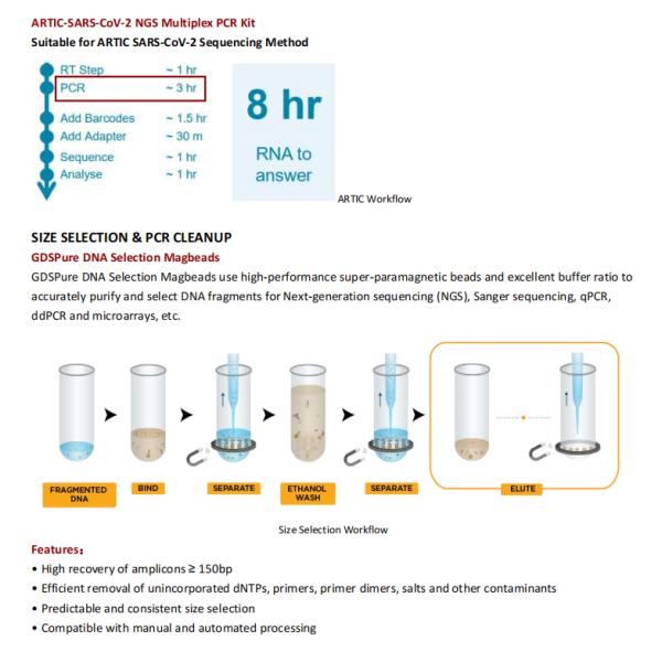 ARTIC SARS-CoV-2 NGS Library Construction Multiplex PCR Kit