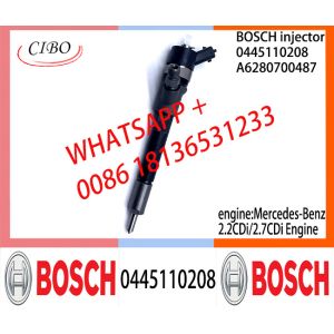BOSCH Common fuel Injector A62897995870080 0445110207 0445110208 A6280700487