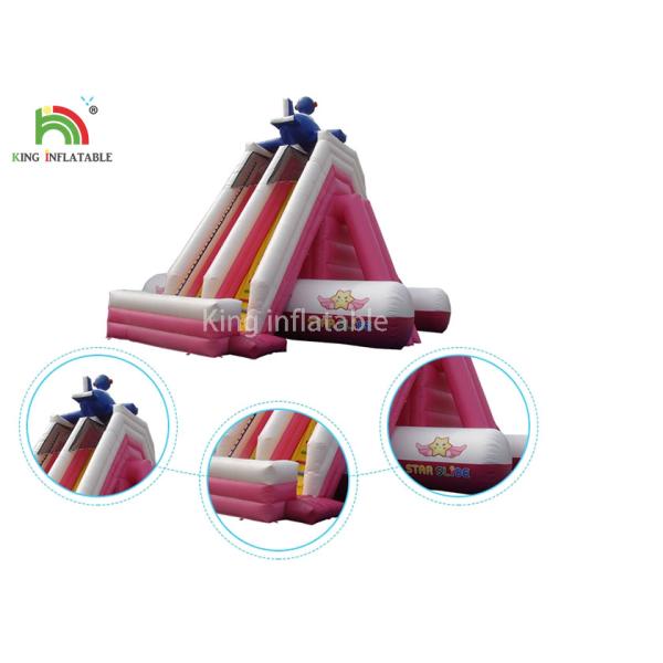 Customized Size Pink PVC Tarpaulin Inflatable Water Slide Outdoor Amusement Park For Kids
