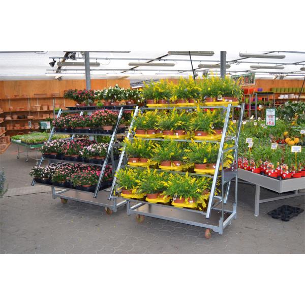 Buy 500KG Load Capacity danish flower trolley nursery trolley at wholesale prices