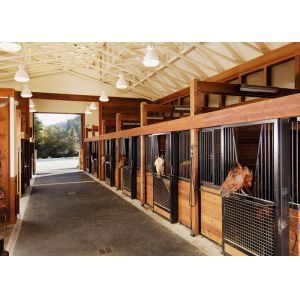 Customize Horse Stall Panels Bamboo Infill Strong Metal Steel Frame