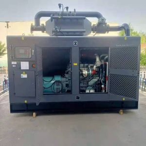360A Rated Current Natural Gas Portable Silent Generator 200kw for Manufacturers