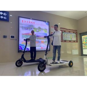 ROHS Folding Carbon Steel Electric Tricycle Scooter