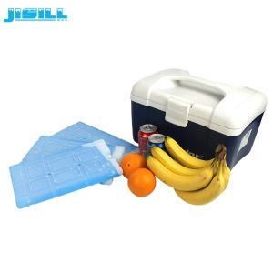 High Efficient Blue Cold Gel Thin Long Lasting Ice Packs For Food / Medicine