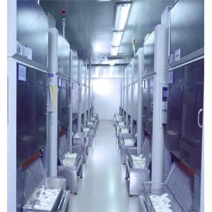 Automatic Large Format Industrial 3D Printer For Dental Orthodontics