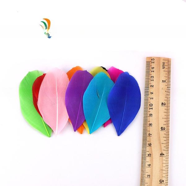 4-6cm Stripped Carnival Costume Feathers , Goose Nagoire Feather Eye Catching Designs